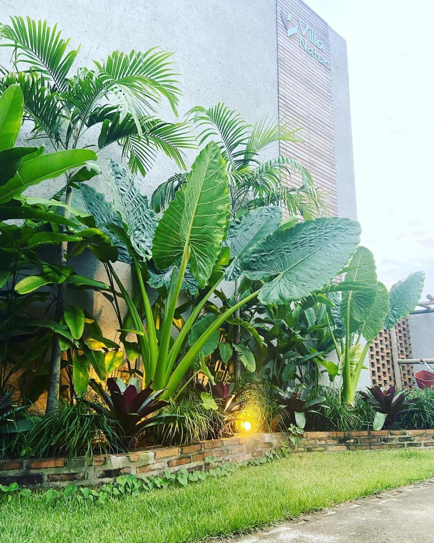 Vilarejo Dos Milagres São Miguel dos Milagres Exterior foto